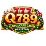 q789 game