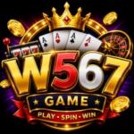 W567 Game