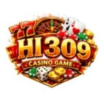 HI309 Game