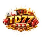 TD77 Game